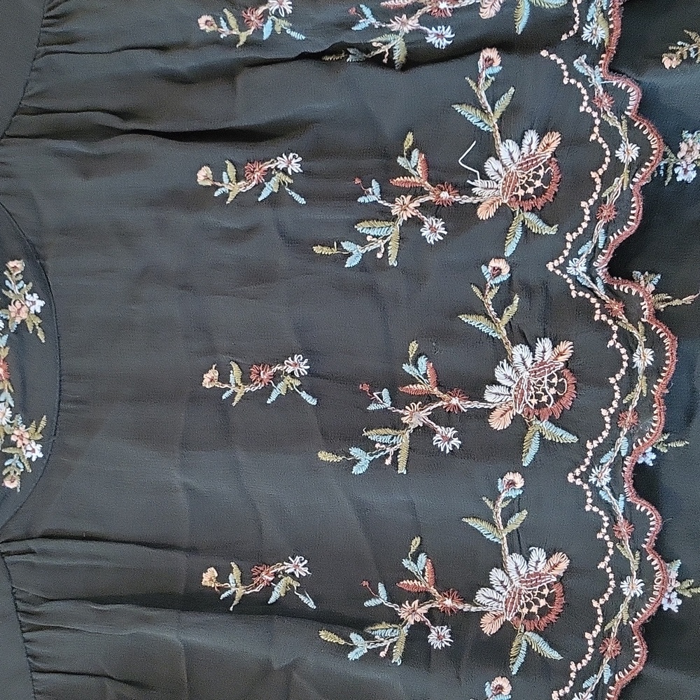 Zara Sheer Embroidered Top. - Picture 4 of 6